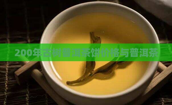 200年古树茶普洱茶饼