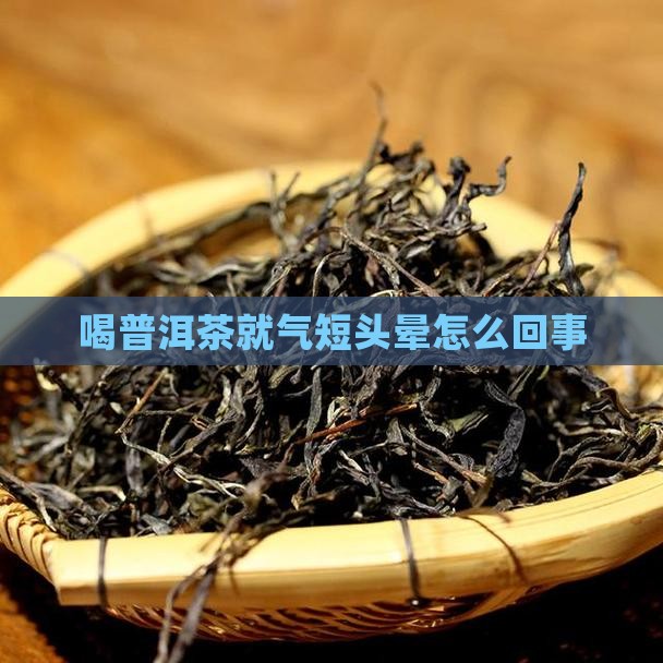 喝普洱茶就气短头晕怎么回事