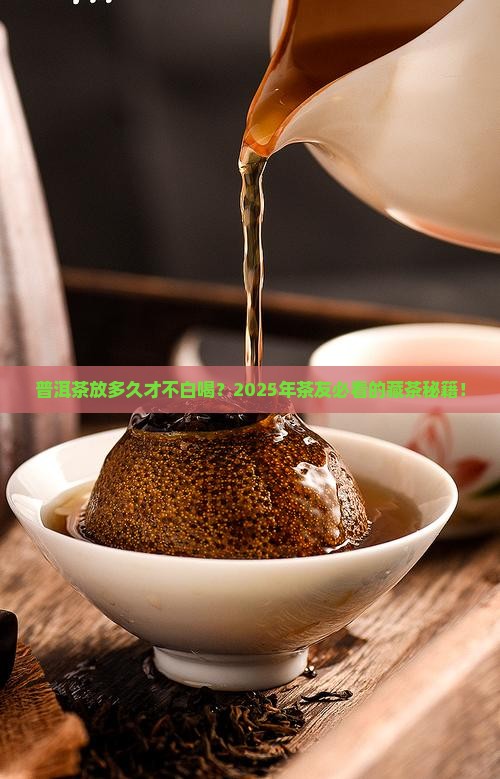 普洱茶放多久好喝
