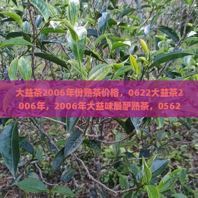 大益茶2006年份熟茶