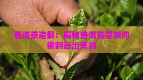 假普洱茶怎么造成的