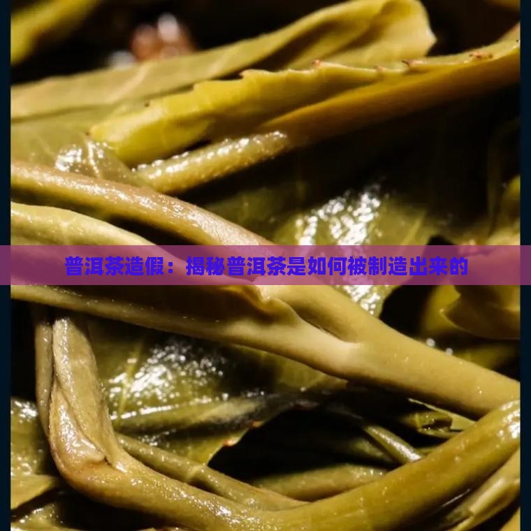 假普洱茶怎么造成的