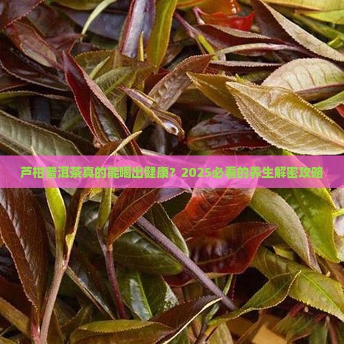芦柑普洱茶的功效