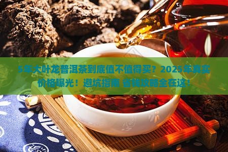 5年大叶龙普洱茶价格