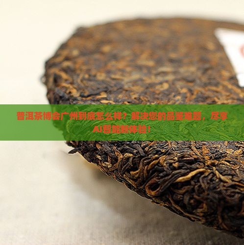 普洱茶博会广州