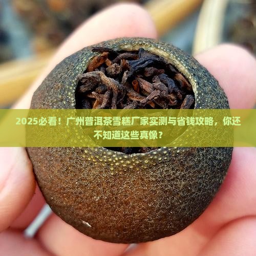 广州普洱茶雪糕厂家