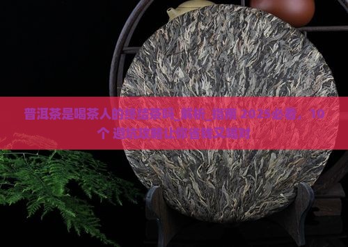 普洱茶是喝茶人的终结茶吗