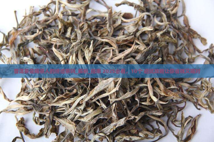 普洱茶是喝茶人的终结茶吗