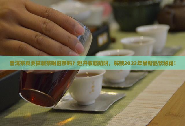 普洱茶素有做新茶喝旧茶的传统
