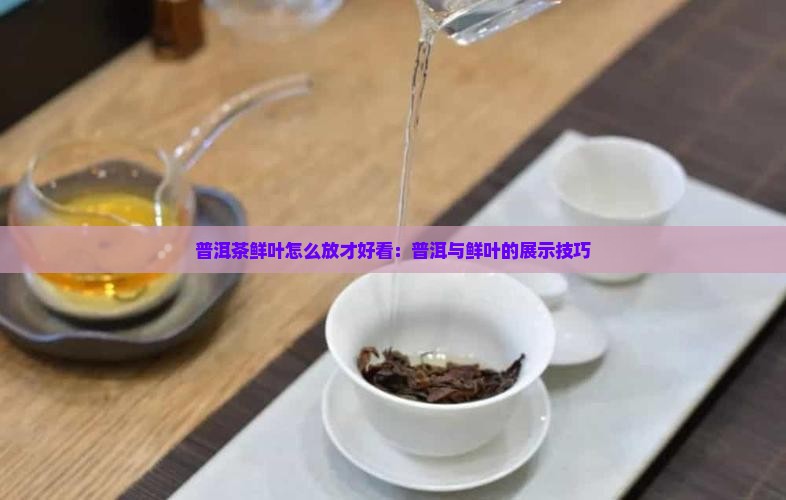 普洱茶鲜叶怎么放好看的