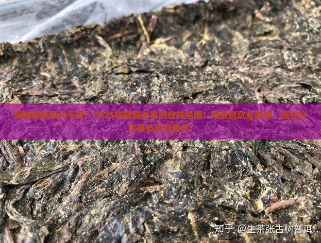 哪种茶好喝且不贵