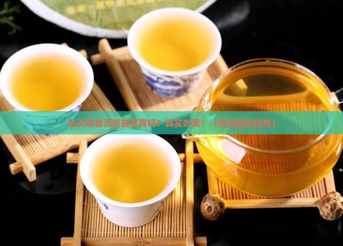 冬天喝普洱茶能养胃吗吗