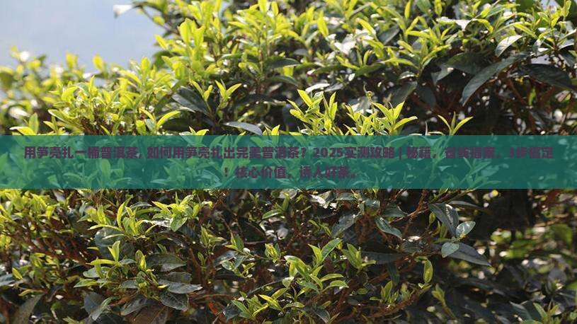 用笋壳扎一桶普洱茶