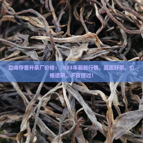 勐海存普升茶厂价格
