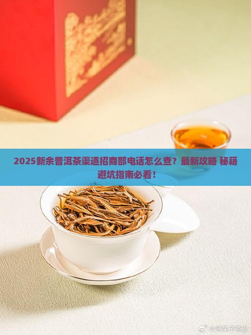 新余普洱茶渠道招商部电话