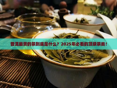 普洱最贵的茶是什么茶类