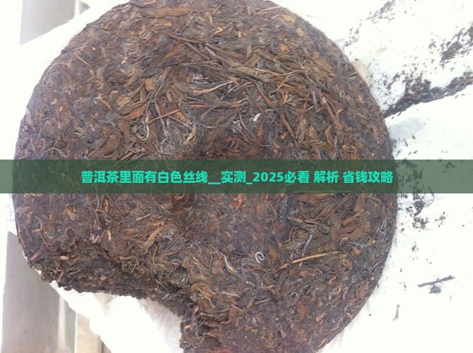 普洱茶里面有白色丝线