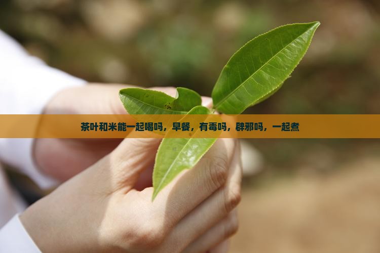 茶叶和米能一起喝吗