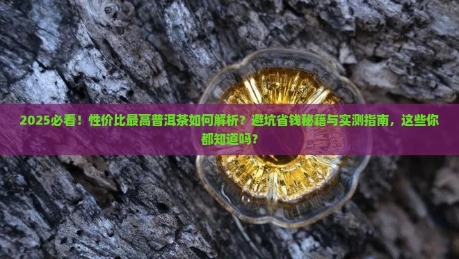 性价比最高普洱茶