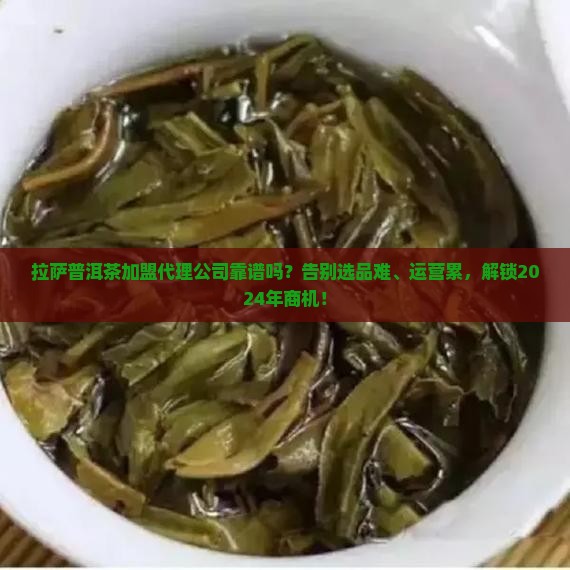 拉萨普洱茶加盟代理公司