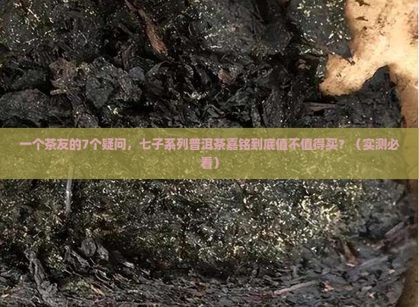 七子系列普洱茶嘉铭