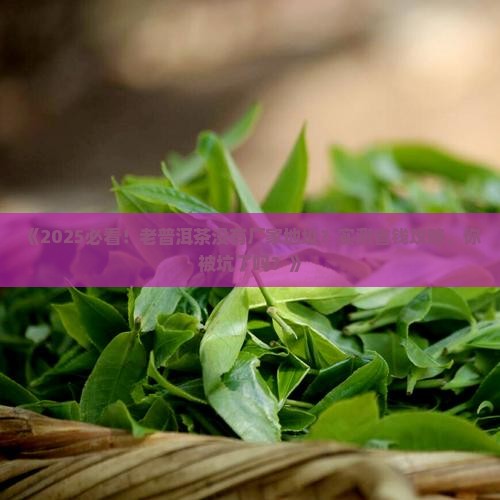 老普洱茶没有厂家地址
