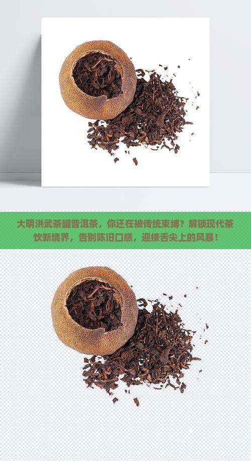 大明洪武茶罐普洱茶