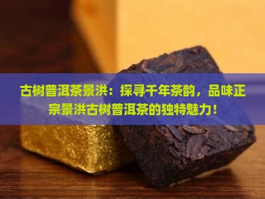古树普洱茶景洪