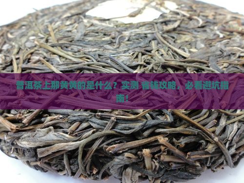 普洱茶黄色霉菌