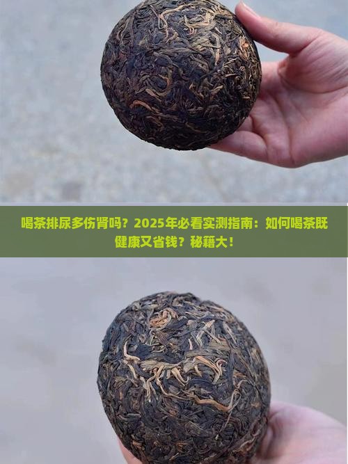 喝茶排尿多对肾好吗
