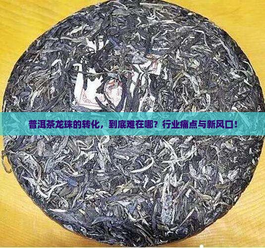 普洱茶龙珠的转化