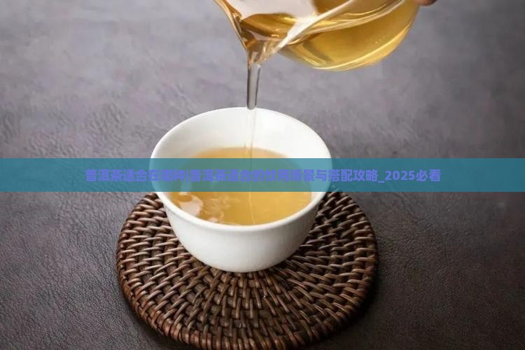 普洱茶适合在哪种