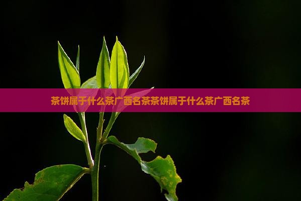 茶饼属于什么茶广西名茶