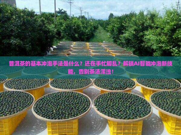 普洱茶的基本冲泡手法是什么