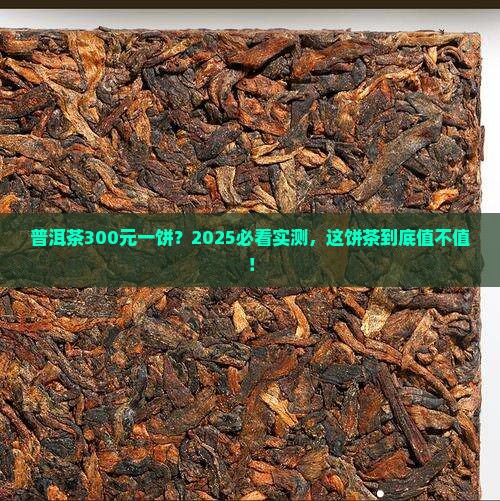 普洱茶300元一饼