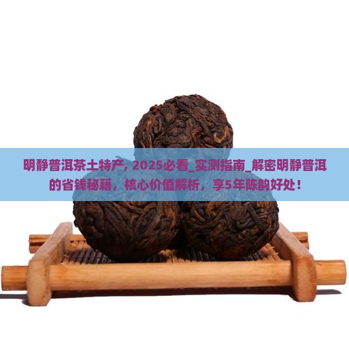 明静普洱茶土特产