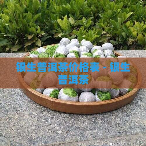 银生普洱茶价格表