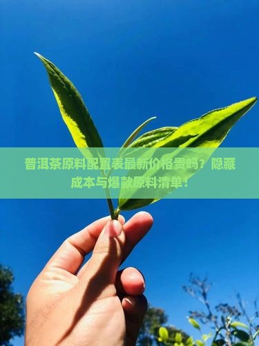 普洱茶原料配置表最新价格
