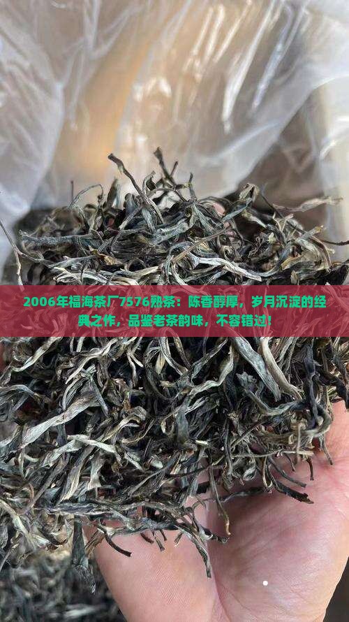 2006年福海茶厂7576熟茶