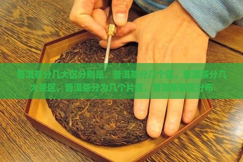 普洱茶分几大区