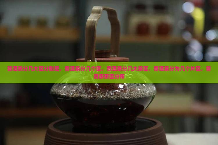 普洱茶分几大区