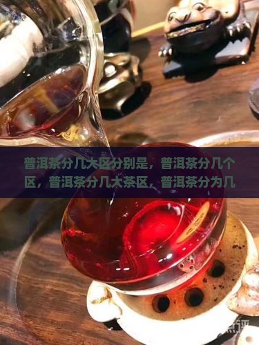 普洱茶分几大区