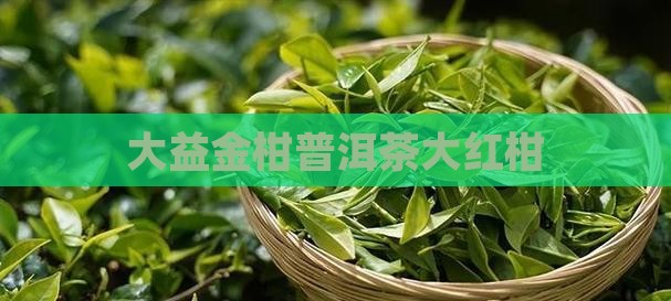 大益金柑普茶大红柑