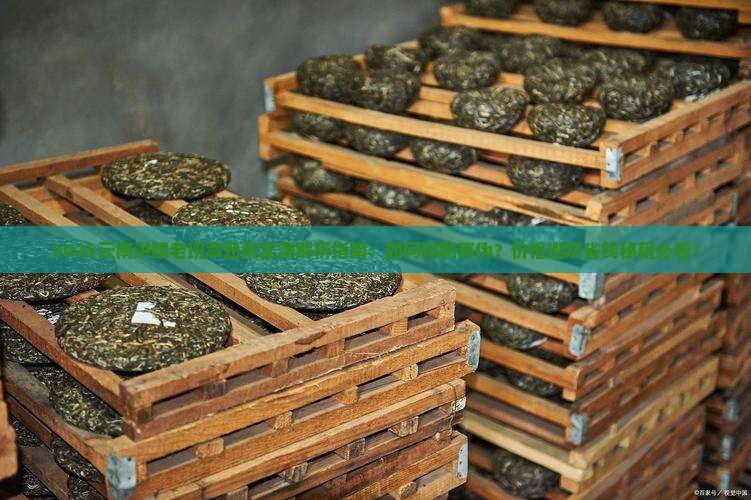 云南洪麟老班章熟茶