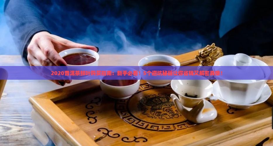 2020普洱茶鲜叶购买购