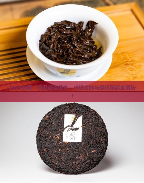 六大茶类之普洱茶