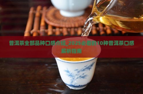 普洱茶全部品种口感介绍