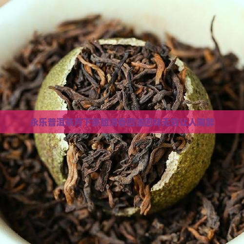 永乐普洱茶月下茶甜