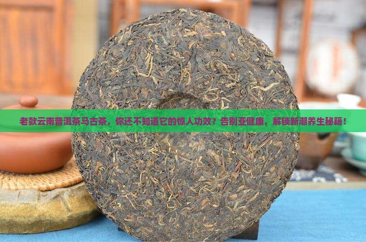 老款云南普洱茶马古茶