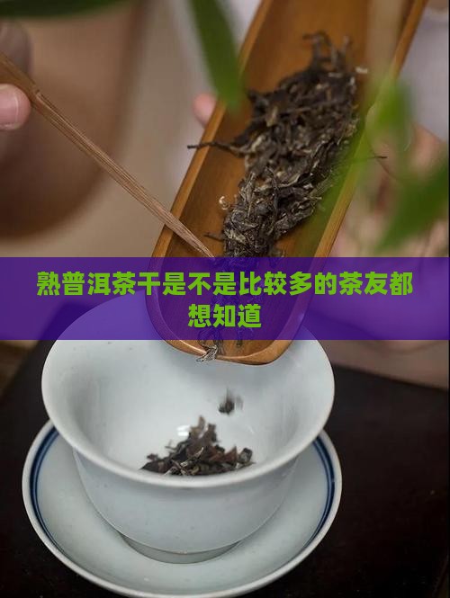熟普洱茶干是不是比较多